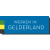 MGR Sociaal domein centraal Gelderland